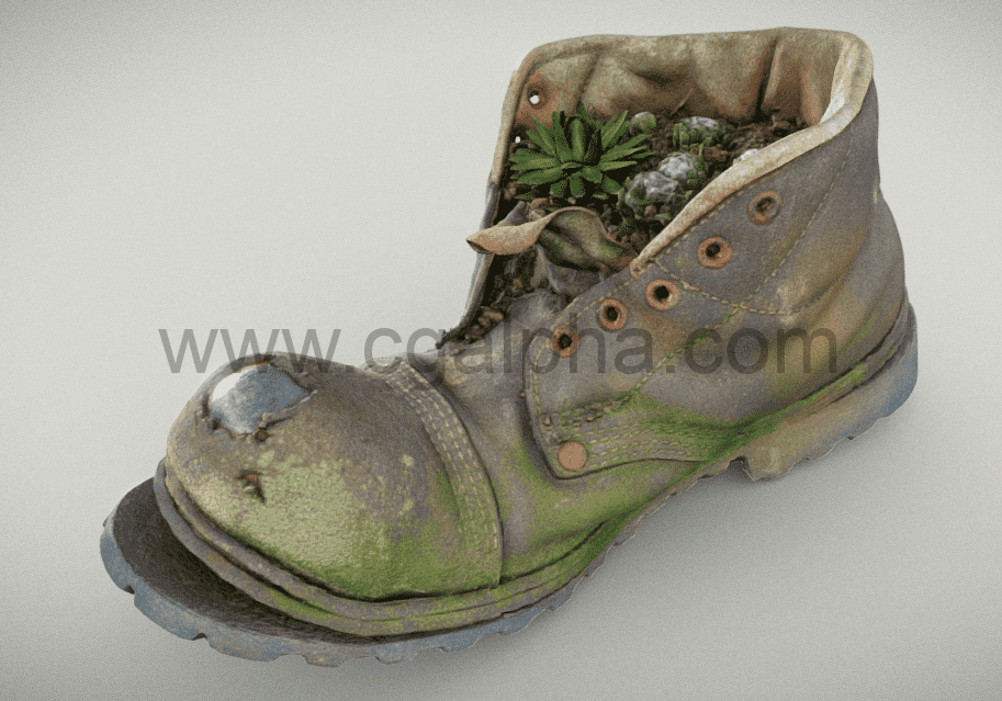 仙人掌植物的旧靴子模型 Old Boot With Cactus Plant