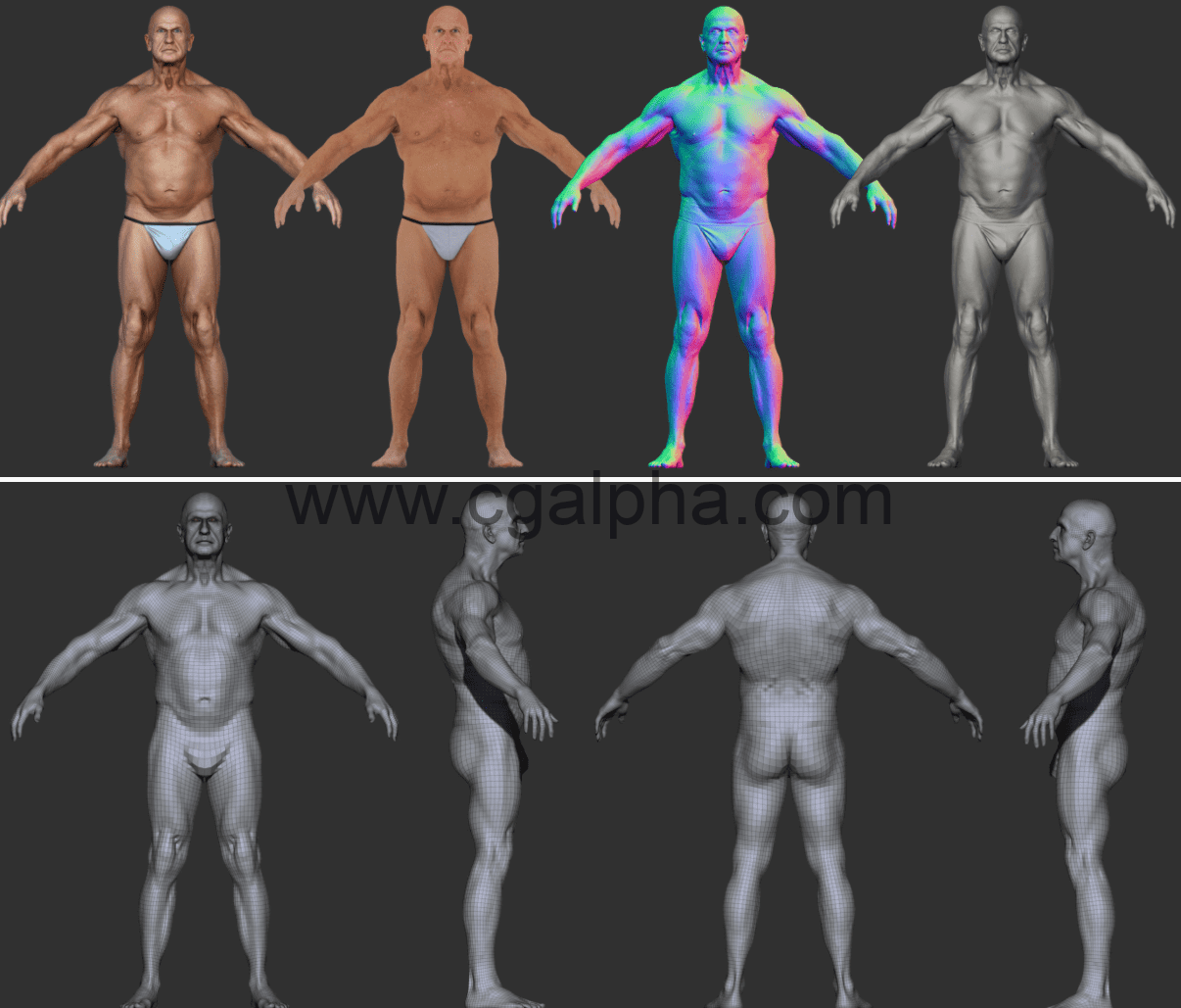 3DScan Store – 写实中年男性扫描身体3D模型