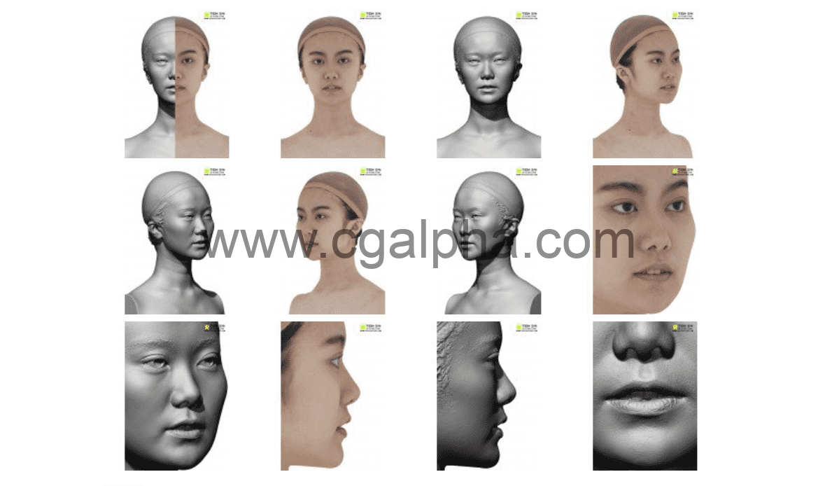 3DScan Store – 女性头部扫描3D模型 Female 15 Head Scan Cleaned