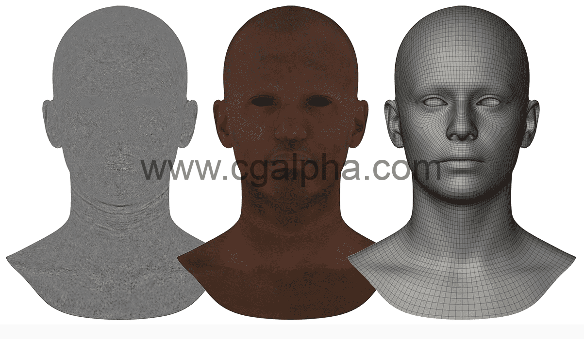 3DScan Store – 男性头部高清纹理置换贴图 HD Displacement Map 02