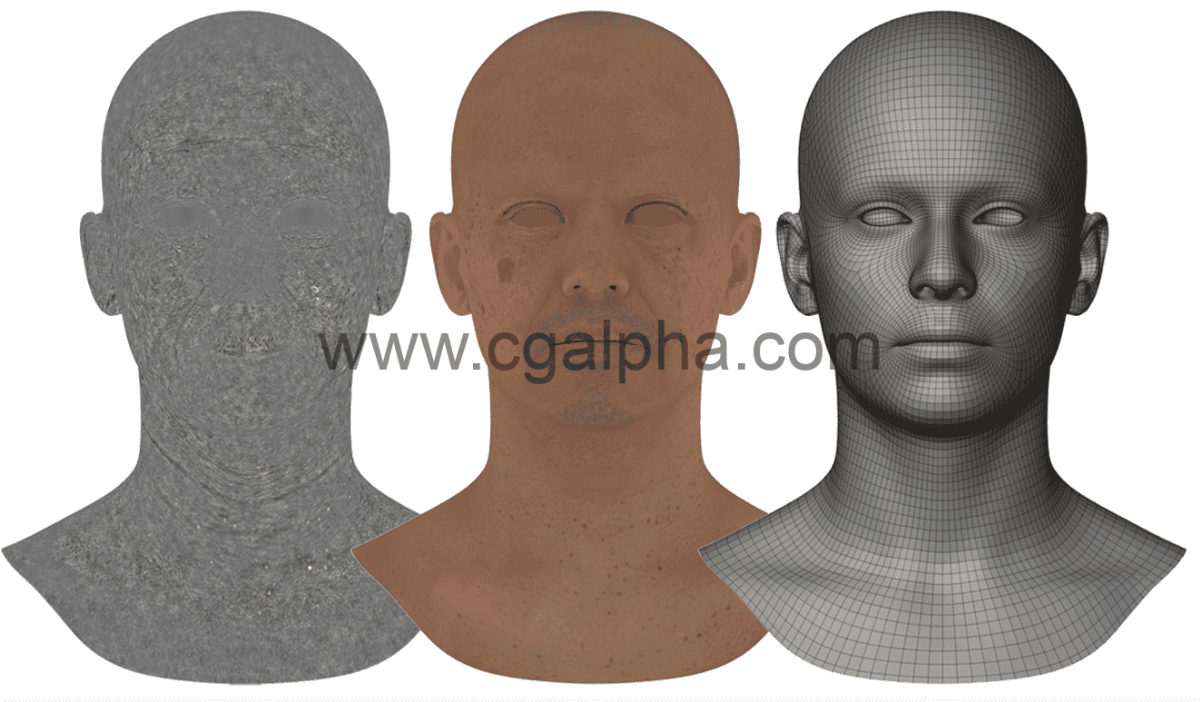 3DScan Store – 男性头部高清纹理置换贴图 HD Displacement Map 03