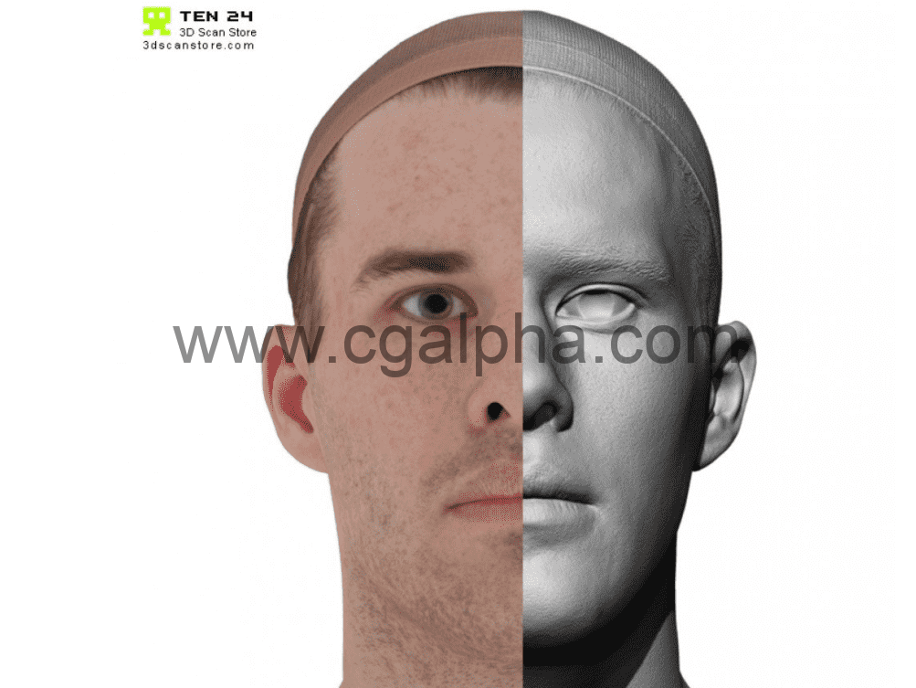 3DScan Store – 男性头部扫描3D模型 Male 42 Head Scan Cleaned