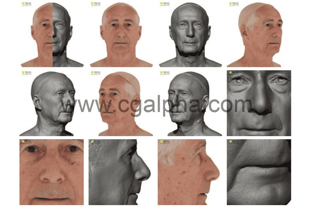 3DScan Store – 男性头部扫描3D模型 Male 46 Head Scan Cleaned