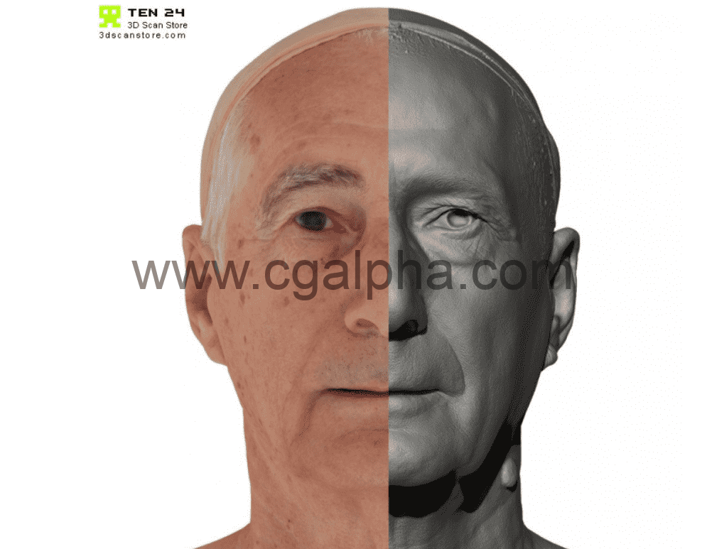 3DScan Store – 男性头部扫描3D模型 Male 46 Head Scan Cleaned