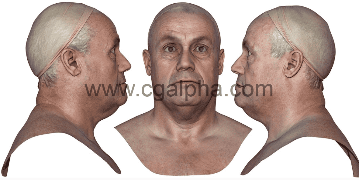 3DScan Store – 男性头部扫描3D模型 Male 47 Head Scan Cleaned