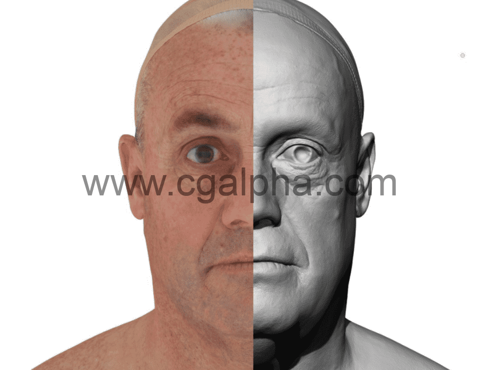 3DScan Store – 男性头部扫描3D模型 Male 47 Head Scan Cleaned