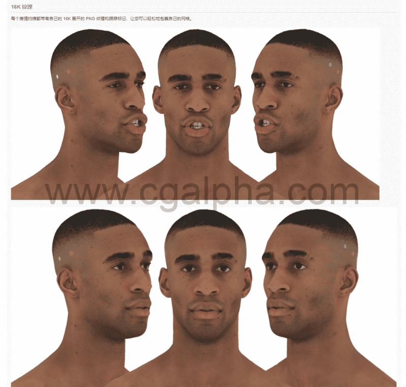 3DScan Store – 30种男性表情扫描模型 Expression Bundle3D模型 -40