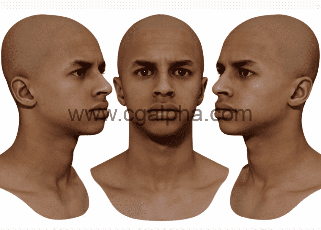 3DScan Store – 男性3D模型重新拓扑头部扫描 Retopologised Male Head 01