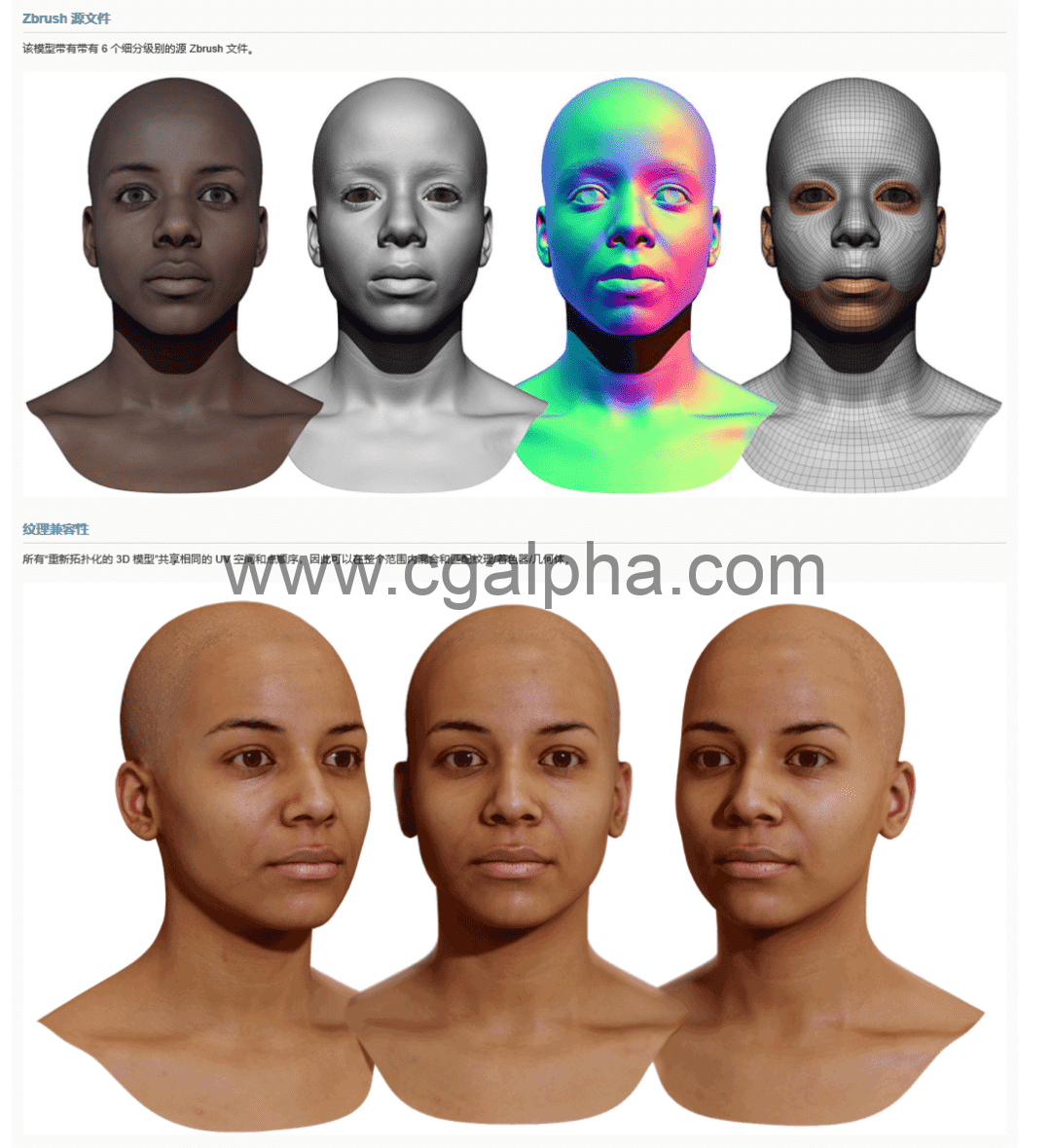 3DScan Store – 女性3D模型重新拓扑头部扫描 Retopologised Female Head 011