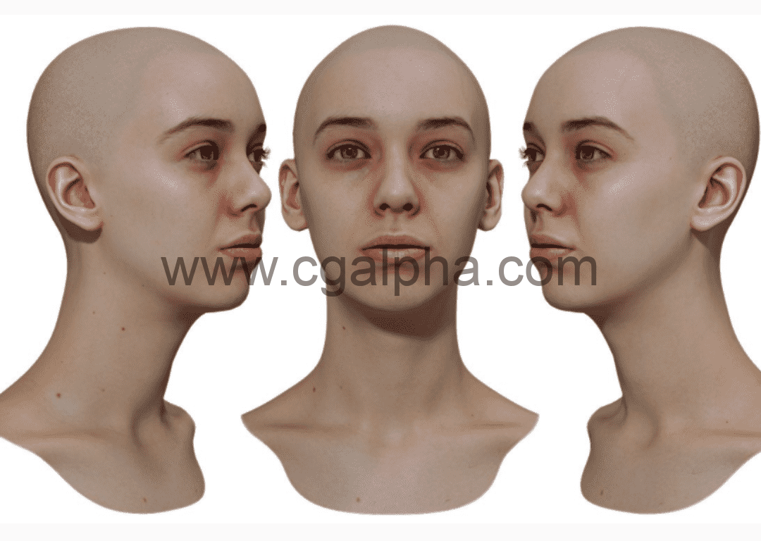 3DScan Store – 女性3D模型重新拓扑头部扫描 Retopologised Female Head 012