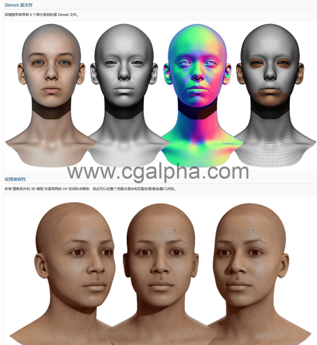 3DScan Store – 女性3D模型重新拓扑头部扫描 Retopologised Female Head 012