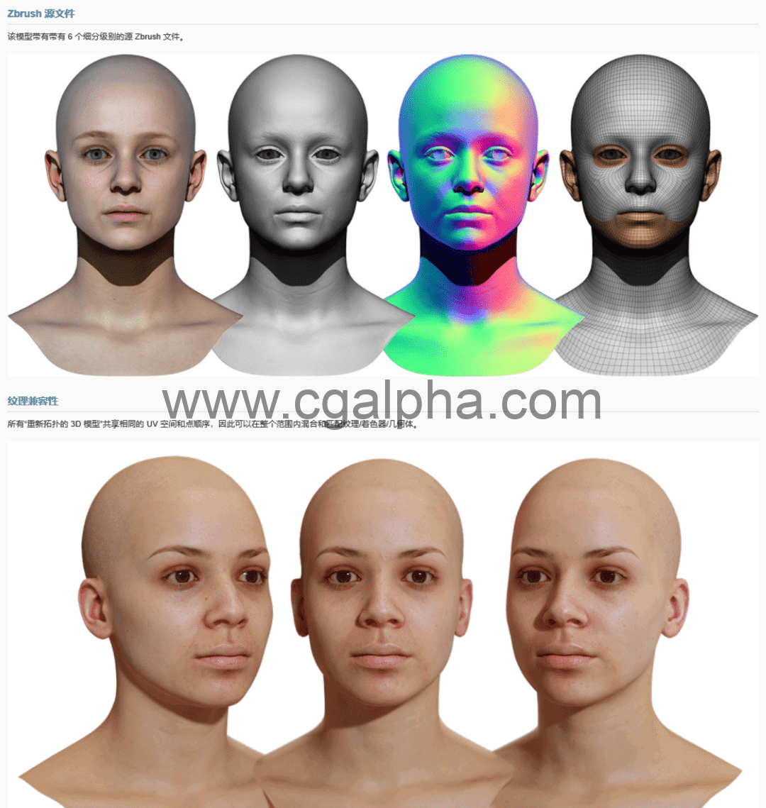 3DScan Store – 女性3D模型重新拓扑头部扫描 Retopologised Female Head 010