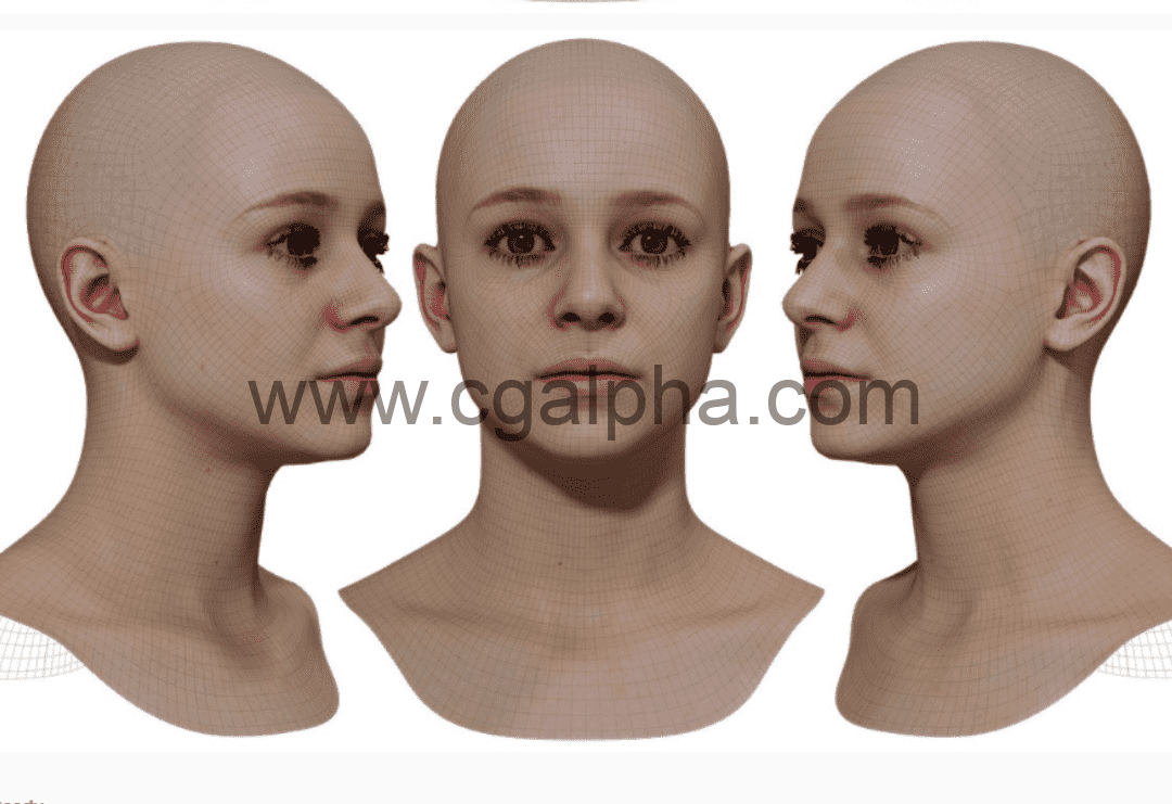 3DScan Store – 女性3D模型重新拓扑头部扫描 Retopologised Female Head 010