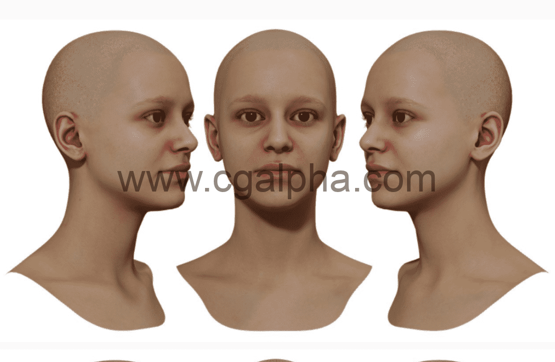 3DScan Store – 女性3D模型重新拓扑头部扫描 Retopologised Female Head 09