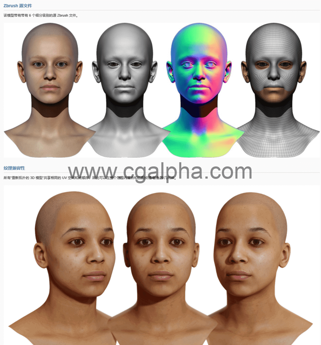 3DScan Store – 女性3D模型重新拓扑头部扫描 Retopologised Female Head 09