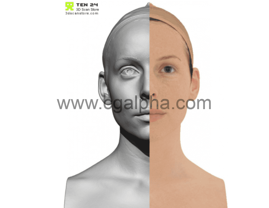 3DScan Store – 女性头部扫描3D模型 Female 04 Head Scan Cleaned