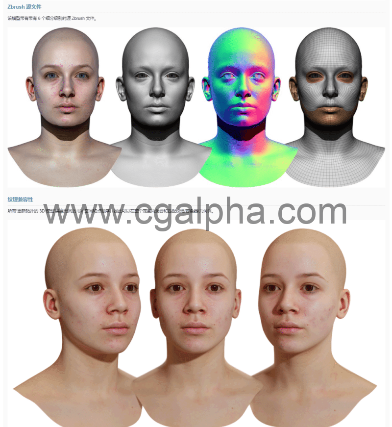 3DScan Store – 女性重新拓扑头部扫描 Retopologised Female Head 08