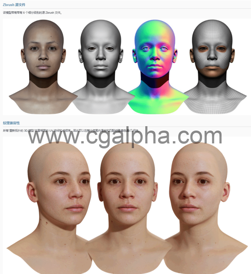 3DScan Store – 女性重新拓扑头部扫描 Retopologised Female Head 01