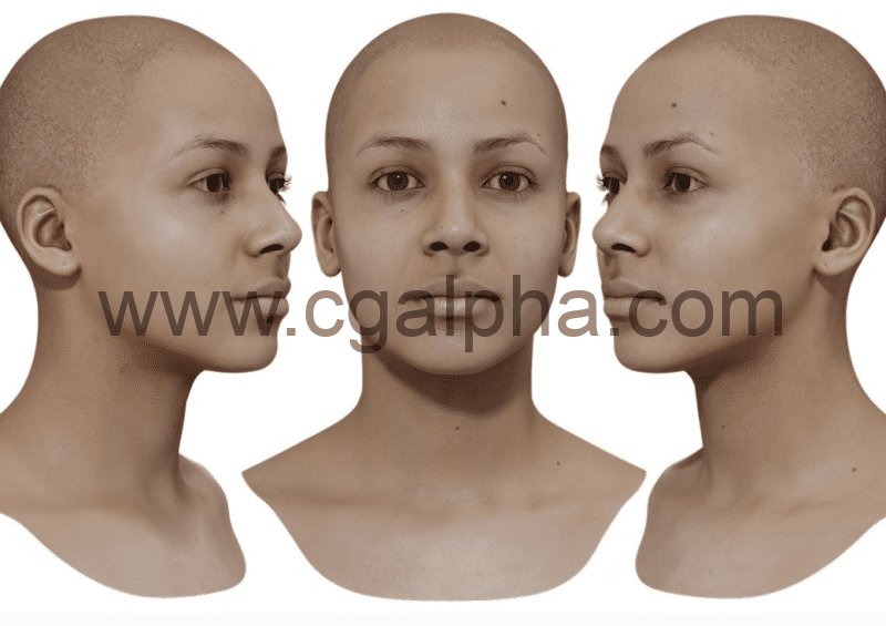 3DScan Store – 女性重新拓扑头部扫描 Retopologised Female Head 01