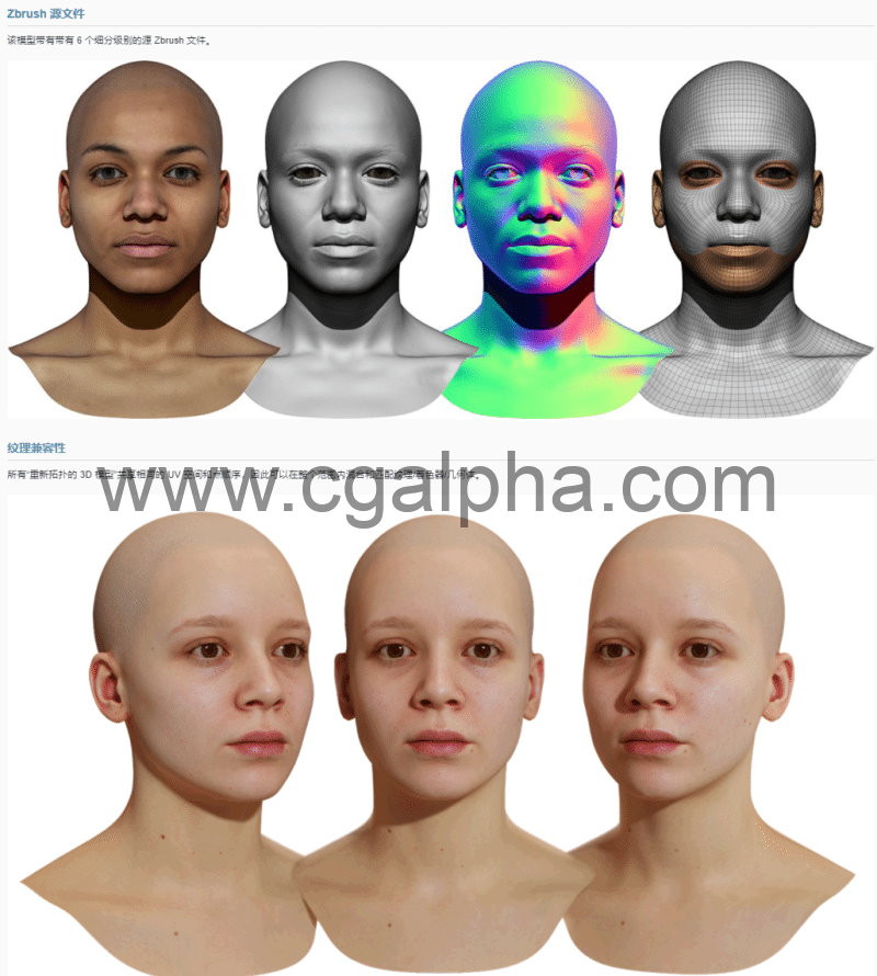 3DScan Store – 女性重新拓扑头部扫描 Retopologised Female Head 06