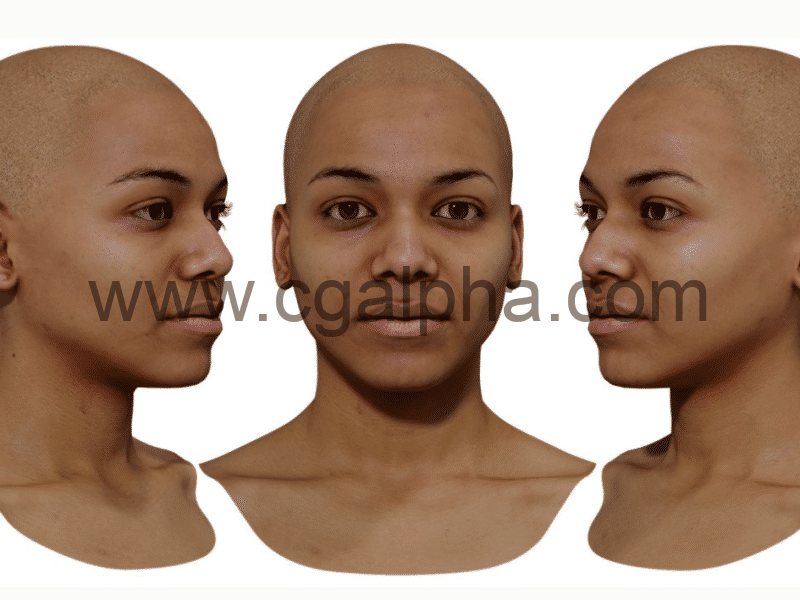 3DScan Store – 女性重新拓扑头部扫描 Retopologised Female Head 06