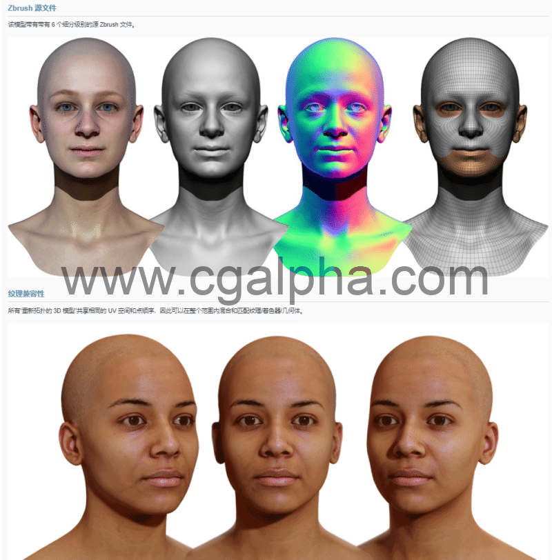 3DScan Store – 女性重新拓扑头部扫描 Retopologised Female Head 03