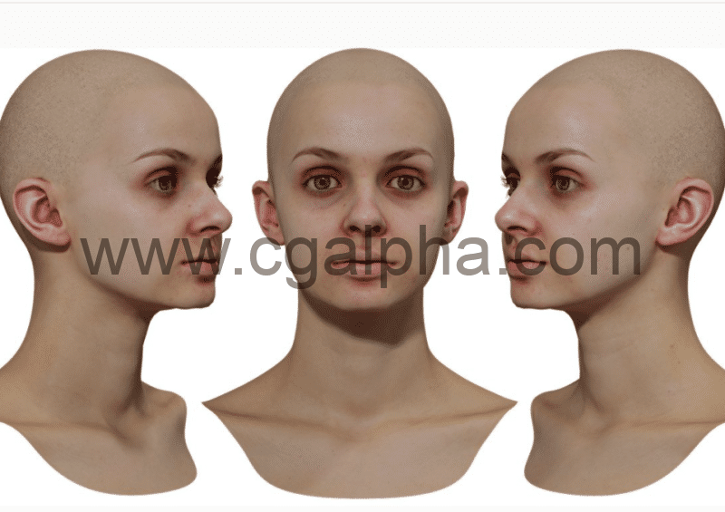 3DScan Store – 女性重新拓扑头部扫描 Retopologised Female Head 05