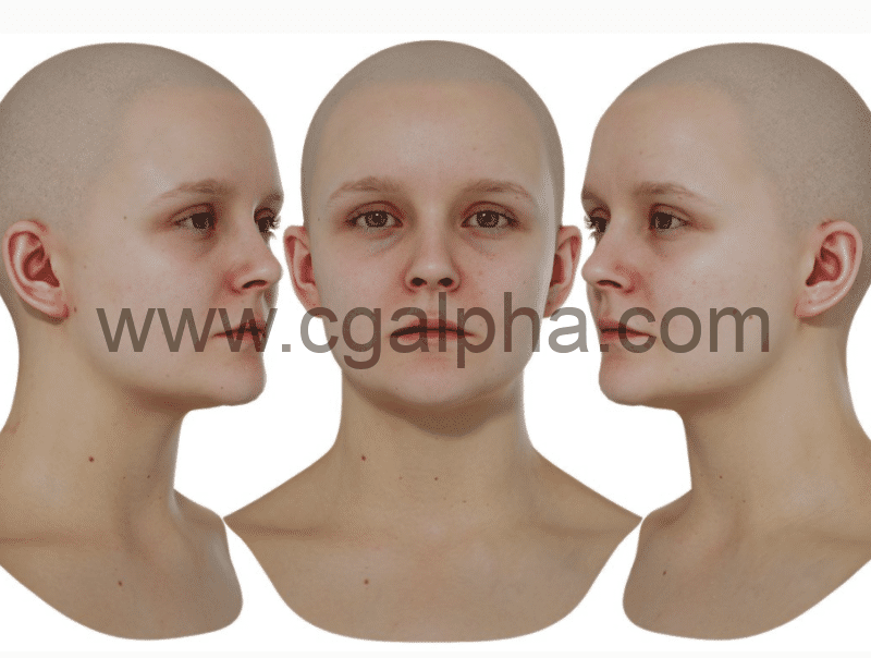 3DScan Store – 女性重新拓扑头部扫描 Retopologised Female Head 02