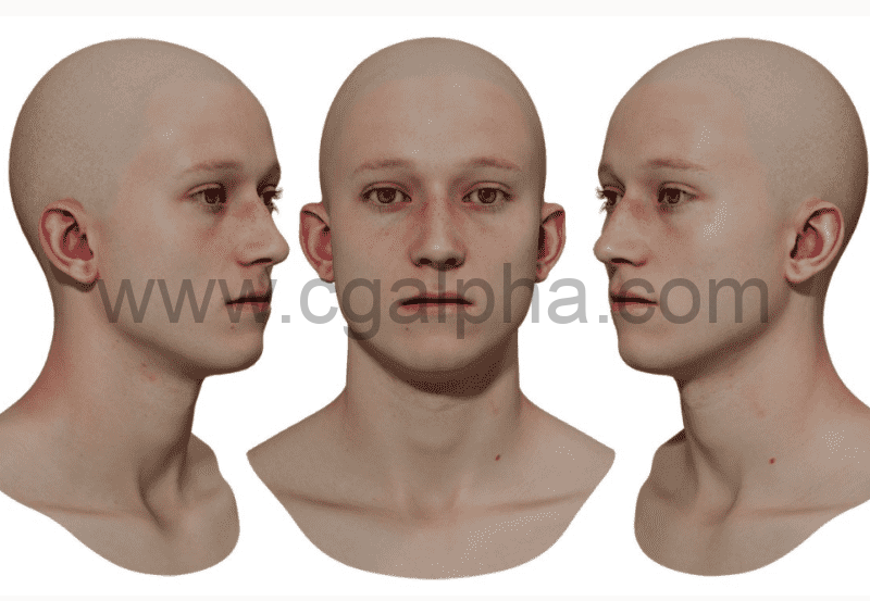 3DScan Store – 男性重新拓扑头部扫描 Retopologised Male Head 02