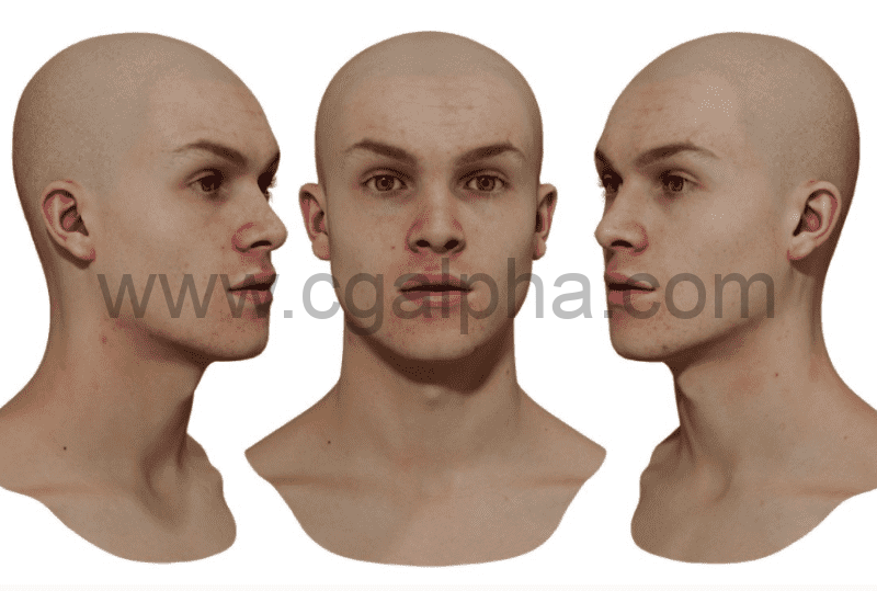 3DScan Store – 男性重新拓扑头部扫描 Retopologised Male Head 07