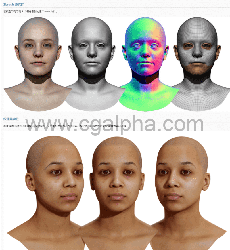 3DScan Store – 女性重新拓扑头部扫描 Retopologised Female Head 07