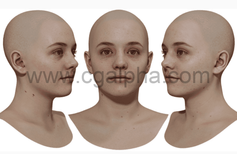 3DScan Store – 女性重新拓扑头部扫描 Retopologised Female Head 07