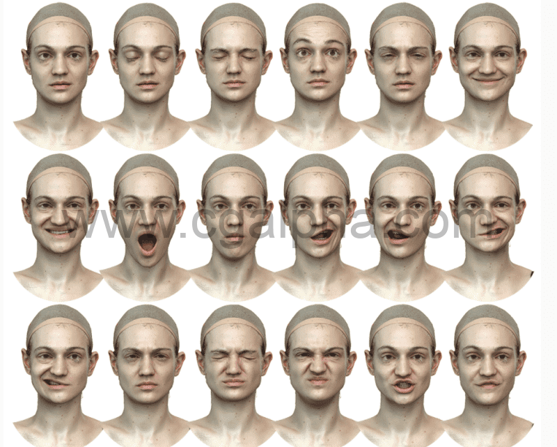 3DScan Store – 30种女性表情扫描模型 Expression Bundle3D模型 -33