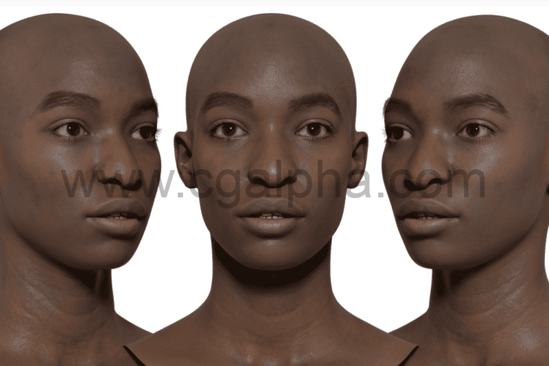 3DScan Store – 高清女性头部模型 HD Female 3D Head Model 12