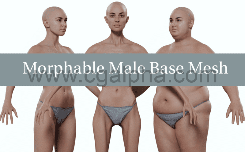 3DScan Store – 可变形的女性扫描3D模型 Morphable female Base Mesh