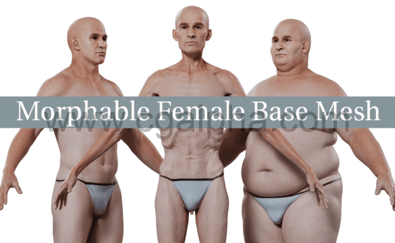 3DScan Store – 可变形的男性扫描3D模型 Morphable male Base Mesh