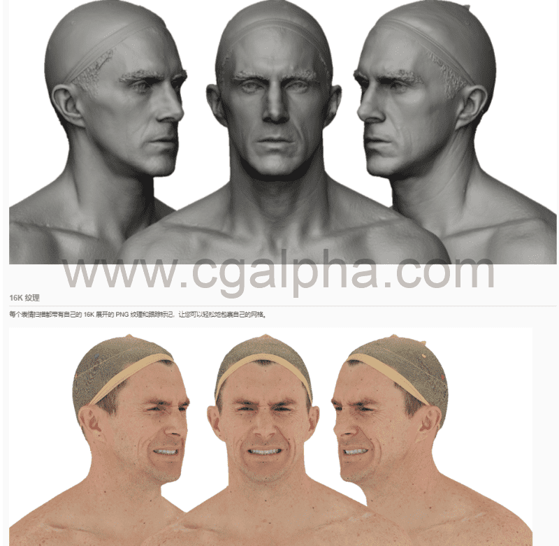 3DScan Store – 30种男性表情扫描模型 Expression Bundle3D模型 -36