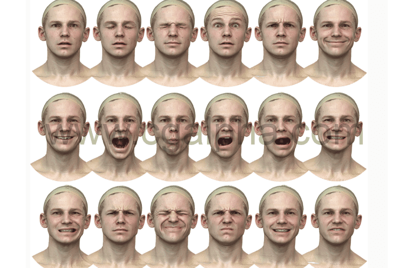 3DScan Store – 30种男性表情扫描模型 Expression Bundle3D模型 -39