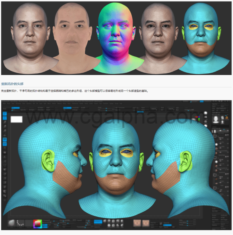 3DScan Store – 高清女性头部模型 HD Female 3D Head Model 11