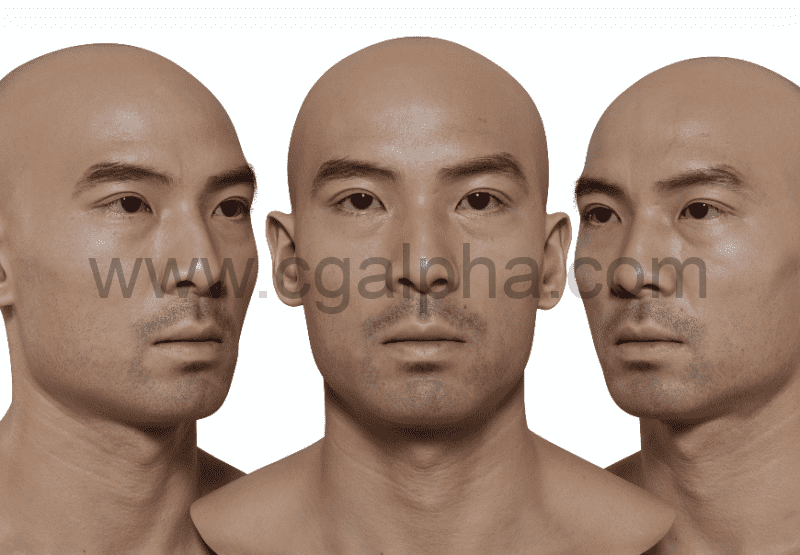 3DScan Store – 高清男性头部模型 HD Male 3D Head Model 07