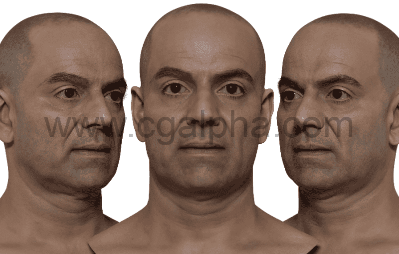 3DScan Store – 高清男性头部模型 HD Male 3D Head Model 12