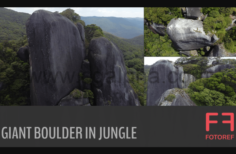 260 张丛林巨石参考照片 260 photos of Giant Boulder in Jungle